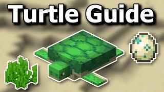 Everything You Need to Know About Turtles in Minecraft 1.20