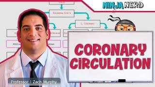 Circulatory System  Coronary Circulation