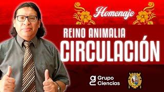  Reino Animalia Circulación  Biología  Homenaje 