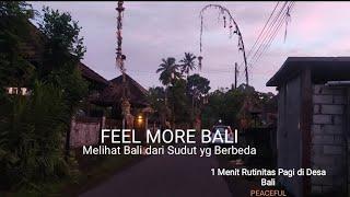 1 Menit Rutinitas Pagi di Desa Melihat Desa di Bali dr Sudut Berbeda Feel More #bali #desa #daily