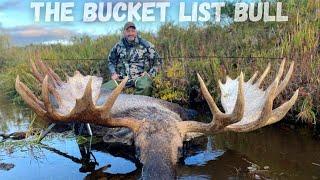 Once in a  Lifetime Moose Hunt  Giant Bull Down