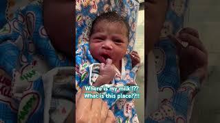 New born baby in thinking mode  searching for his milk #newbornbaby #nikitakalda #baby