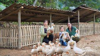 How to make a duck coop from bamboo build a farm life
