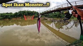 Di Luar Dugaan.. Masih Ada Ikan Sebesar Ini di Sungai yang Keruh & Jauh Dari Laut..