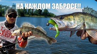 МОРЕ СУДАКА в степной реке. Джиг на 2-х метрах. Рыбалка в Краснодарском крае.