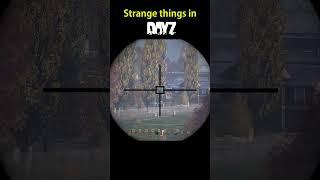 DayZ Strange things happen in town #shorts