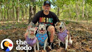 Guy Keeps Adopting Deaf Dogs Who Help So Many People  The Dodo