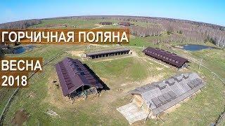 ЭкоФерма Горчичная поляна. Три года спустя. Что нового в хозяйстве.