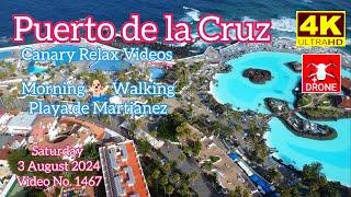 Tenerife ️ Puerto de la Cruz Morning Playa de Martianez 3 August 2024 Teneriffa