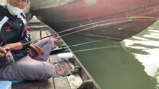 Cảm Giác Quá Phê Tại Cồn Tân Lộc Thốt Nốt  Bình Cơm Fishing CT