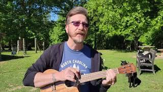 Road Trip Serenade - JR Dahman sings The Air That I Breath by The Hollies on Ukulele