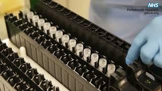 The journey of a COVID-19 swab from a PCR test