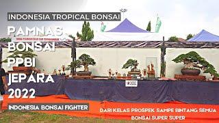 Pameran Bonsai Nasional Terbaik akhir tahun 2022  Pamnas Jepara Indonesia Bonsai Fighter