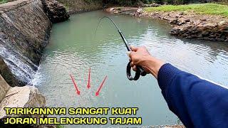 Mancing Nilem di Spot Pedalaman Suasananya Sangat Sejuk Sekali #LM42