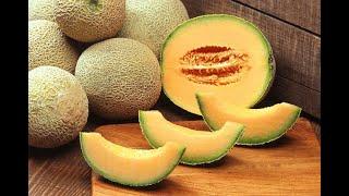 12 Impressive Health Benefits of Cantaloupe