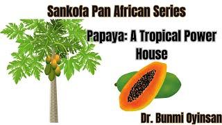 Papaya The Tropical Powerhouse #PapayaBenefits#SuperfruitSecrets#HealthyEating#PapayaPower