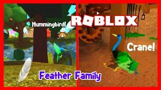 ROBLOX FEATHER FAMILY HUMMINGBIRD & CRANE Map Exploration DAY