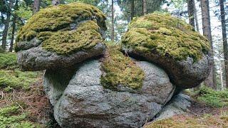 Wanderung Bärnkopf NÖ - Gutenbrunn NÖ