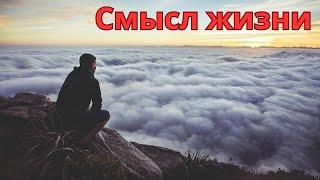 Смысл жизни в непростое время #shorts