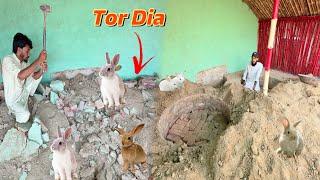 Rabbit House Ko Ander Sy Tor Dia 