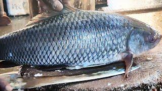 Amazing Black Rohui Fish Cutting & Chopping in Fish Market  Rohu Fish Cutting Skills