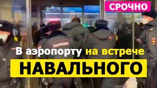 Срочно В аэропорту встречают Навального. Что происходит сейчас в аэропорту? Внуково или Шереметьево