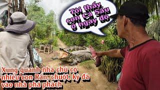 Ngôi nhà của cô chú nhỏ xíu mà đủ thứ con vật phá phách xung quanh  TGSB #969