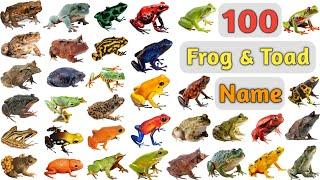 Frog & Toad Vocabulary ll 100 Frog & Toads Name In English With Pictures ll Type of Frogs & Toads