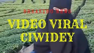 NEWS  VIDEO VIRAL DI CIWIDEY