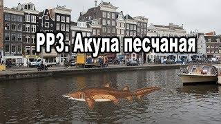 Русская Рыбалка 3 Russian Fishing. Акула песчаная.