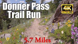 Virtual Trail Running Video for Treadmill  Donner Pass Trail  Roosevelt National Forest  Colorado