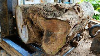 Sawing monster teak into nice thick planks