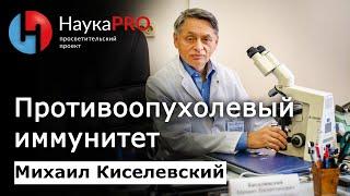 Противоопухолевый иммунитет – Михаил Киселевский  Лекции по медицине  Научпоп