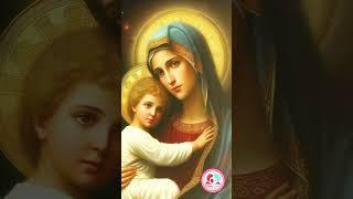 മാതാവിനോടുള്ള സംരക്ഷണ പ്രാർത്ഥന #mother mary daily prayer for protection for october 8th 2023