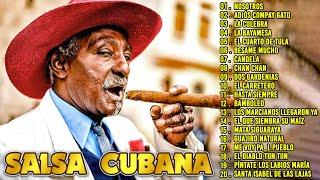 Salsa Cubana - Música tradicional cubana - Son Cubano - Boleros Cubanos - Son Cubano Para Bailar