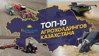 Самые крупные агрохолдинги Казахстана