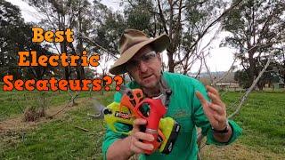 Electric Secateur Review. Best Electric Secateurs? Lets find out