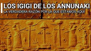 LA VERDADERA RAZÓN POR LA QUE LOS HUMANOS EXISTIMOS - LOS IGIGI  LOS PRIMEROS ANNUNAKIS