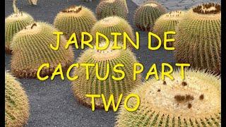 Jardin de Cactus part 2 