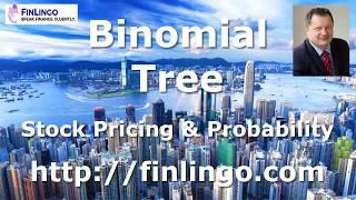 Binomial Tree Stock Pricing And Probability