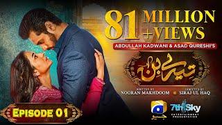 Tere Bin Episode 01 - Eng Sub - Yumna Zaidi - Wahaj Ali - 28th December 2022 - HAR PAL GEO