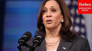 How Swing Voters Feel About Vice President Kamala Harris Top Pollster Explains