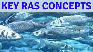 Key Concepts for Healthy Recirculating Aquaculture Systems RAS Fish Farming