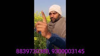 Organic farming result jaivik kheti result