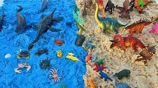 Dinosaurs On The Beach Water Dinos and Land Dinos  T Rex Velociraptor and many more