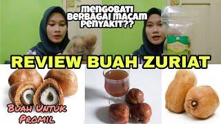 REVIEW BUAH ZURIAT DAN CARA MENGOLAHNYA