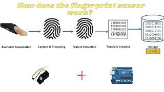 How does the fingerprint sensor work?