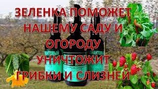 ПРИМЕНЕНИЕ ЗЕЛЕНКИ В САДУ И ОГОРОДЕ .vselennaya uvlesheniy