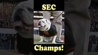 GO DAWGS SEC Champs #shorts #motivationmusic #getthatwork #dogs