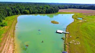 Record Heat Wave Creates Big Problems at the 5 Acre Pond